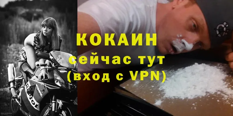 закладки  hydra сайт  Cocaine Эквадор  Асино 